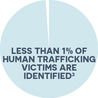 The Issue 1% of human trafficking victims are identified